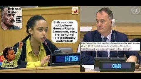 Eritrea Ruler’s agent@UN: Human Rights Concerns Ploy to Unseat the Ruler