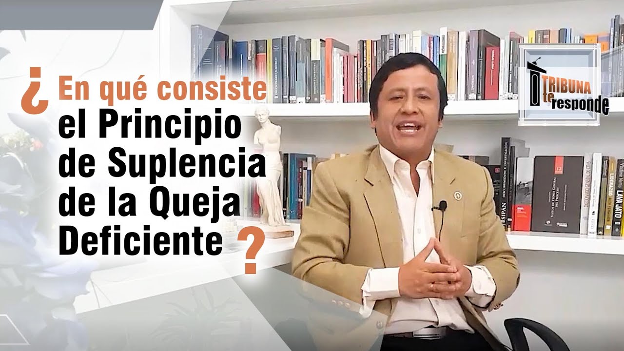 ¿EN QUÉ CONSISTE EL PRINCIPIO DE SUPLENCIA DE LA QUEJA DEFICIENTE
