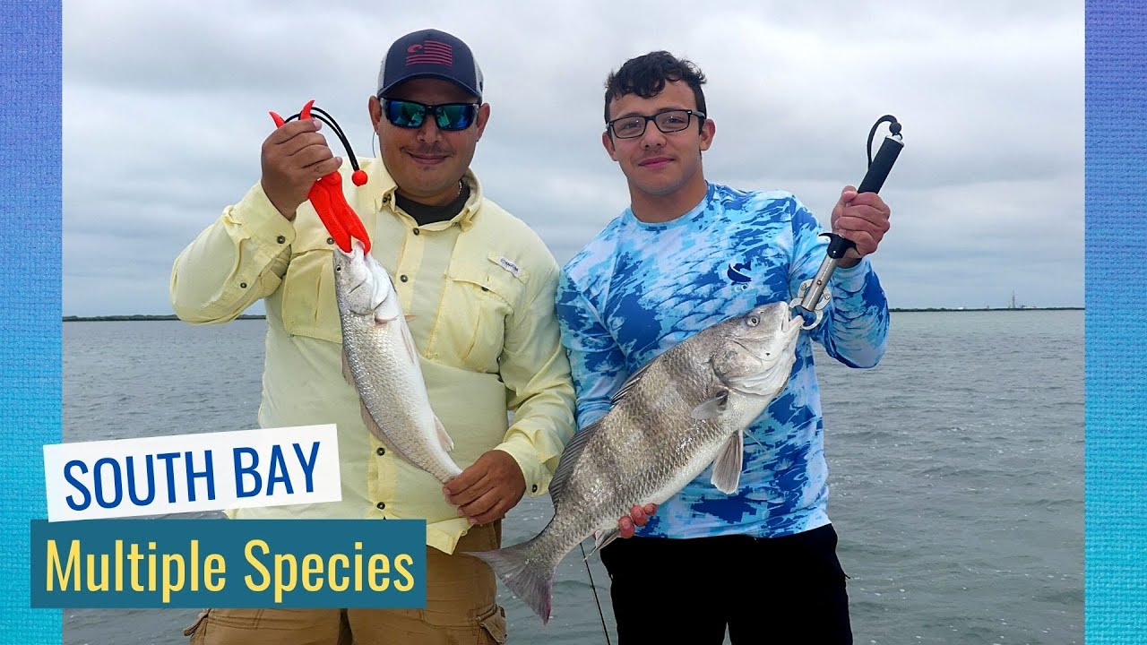 Fishing South Bay [ Fishing for Multiple Species