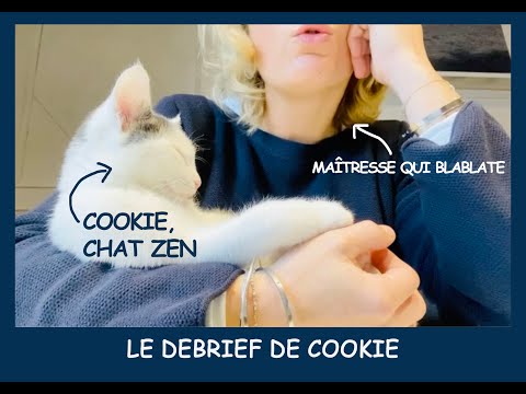 Le débrief de Cookie - 5