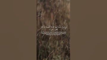 تلاوة خاشعة | سورة النحل 18 - تريح القلب ❤️