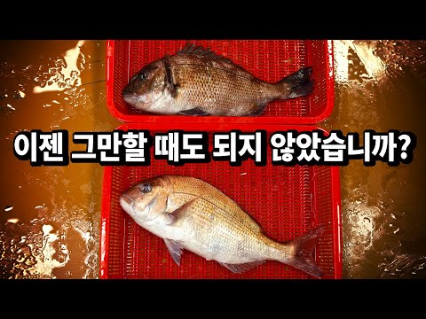 이걸 57만명이 먹었습니다. 이젠 그만할 때도 되지 않았습니까?