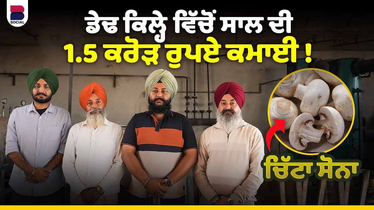 50 ਹਜ਼ਾਰ ਰੁਪਏ ਨਾਲ ਸ਼ੁਰੂ ਕਰੋ ਕਰੋੜਾਂ ਦਾ ਕਾਰੋਬਾਰ | Mushroom Farming |Maninder Singh Shergill | B Social