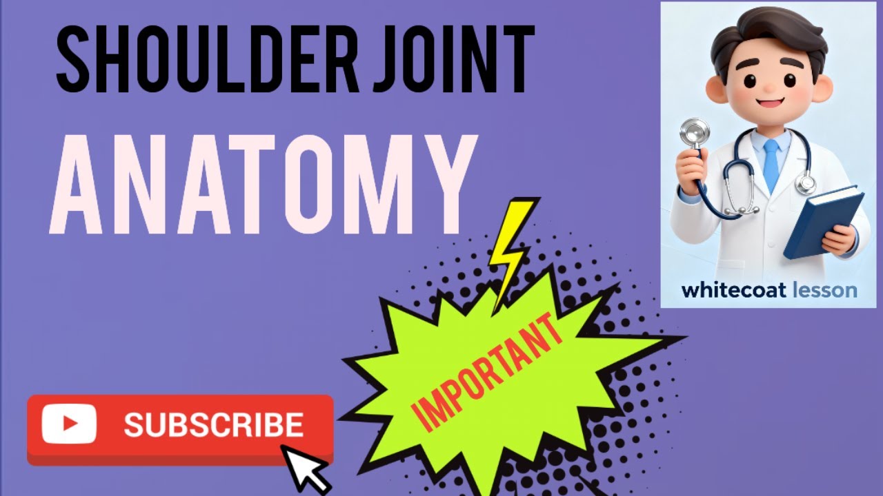 Shoulder Joint Anatomy Explained | MBBS 1st Year