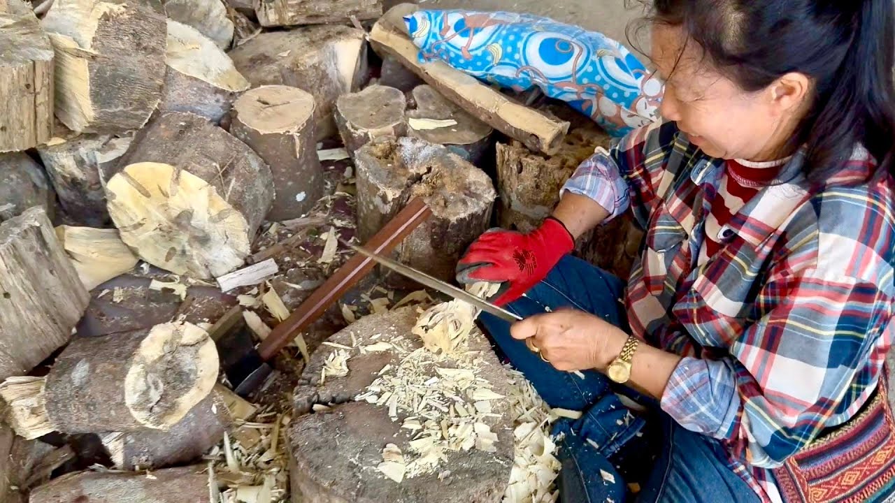 ПРАВДА ОБ АГАРОВОМ ДЕРЕВЕ! Что нужно знать перед началом!