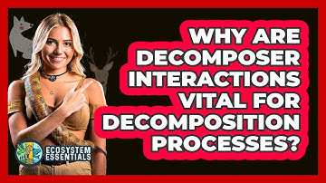 Why Are Decomposer Interactions Vital For Decomposition Processes? - Ecosystem Essentials