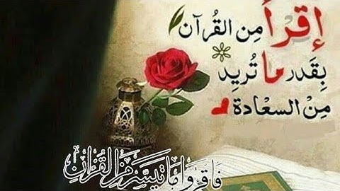 تلاوة هادئة || من سورة الفاتحه الى سورة المائده