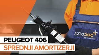 Kako zamenjati Blažilnik PEUGEOT 406 (8B) - video vodič