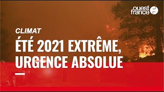 Incendies, inondations, chaleurs : un été 2021 placé sous le signe de l'urgence climatique