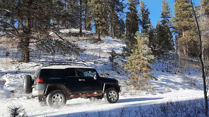 FJ Cruiser in Snow 2022