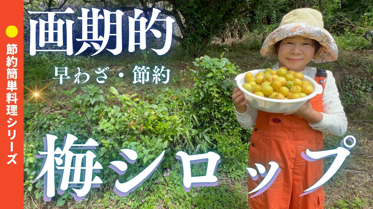 Making refreshing plum syrup for fatigue recovery! A very easy