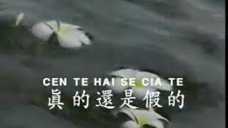 CEN TE HAI SE CIA TE - AMELIA (美雅) MANDARIN TOP SONG V.4