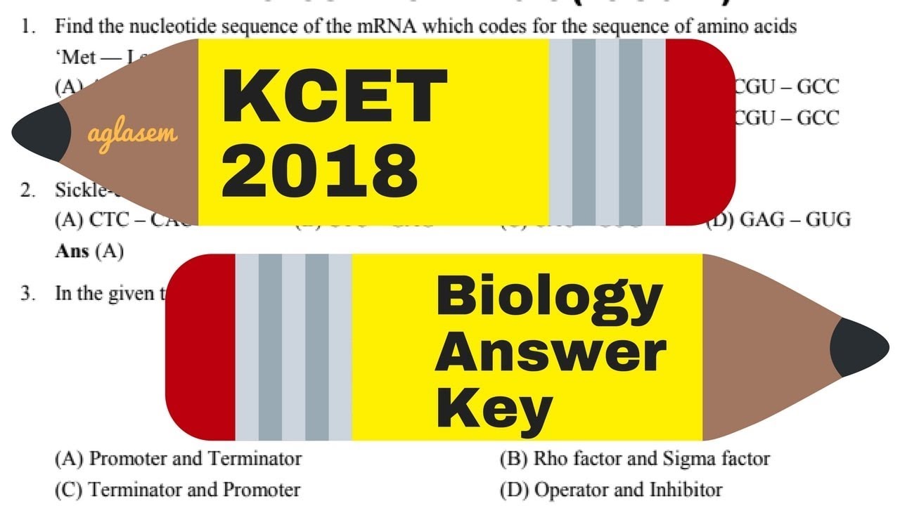 kcet 2018 biology answer key youtube