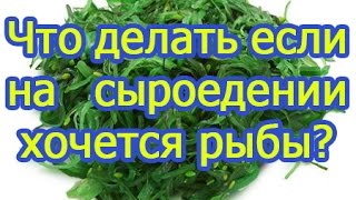 Что делать если на сыроедении хочется рыбы?(Сыроедение. Замена рыбы на сыроедении Подпишитесь на канал и получайте новые видео первыми - http://goo.gl/ajjO1k..., 2014-08-30T19:28:38.000Z)