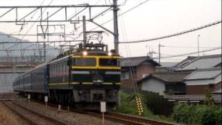 遅4002レ　EF81-113　　　　　　　　2011/10/11　島本