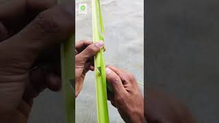 කලාව පුරුදු වෙන කෙනෙකුට ලෙහෙසි කැටයමක් ️