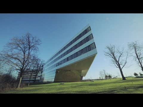 Spaces: The adidas Headquarters