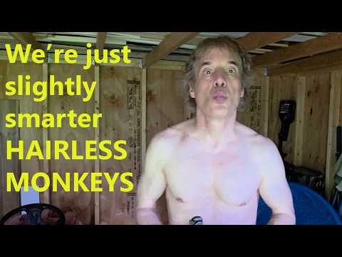 HUMANS Just Slightly Smarter MONKEYS
