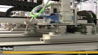 Empty Bottle Sorting Management in Chaotically Mixed Beverage Crates 1