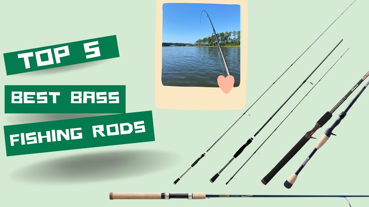 Best Bass Fishing Rods On   Top 5 Best Bass Fishing Rods