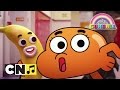 La franchise de darwin  chansons gumball  cartoon network