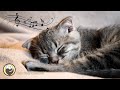 Cat Music - Relaxing Harp Music & Cat Purring Sounds / Stress Relief, Anxiety Relief