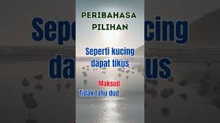 Seperti Kucing Dapat Tikus - Peribahasa Pilihan Dan Maksud Jenis-Jenis Peribahasa