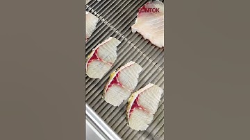 Fish Slicing Machine for snakehead #fishslice #fishprocessing