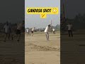 Six of the Day #cricketshorts #cricket #battingtips #ipl #viralcricketshorts #viral #fyp #shorts