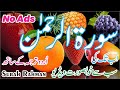 surah rahman with urdu translation no ads | surah rahman no ads | 92 Islam