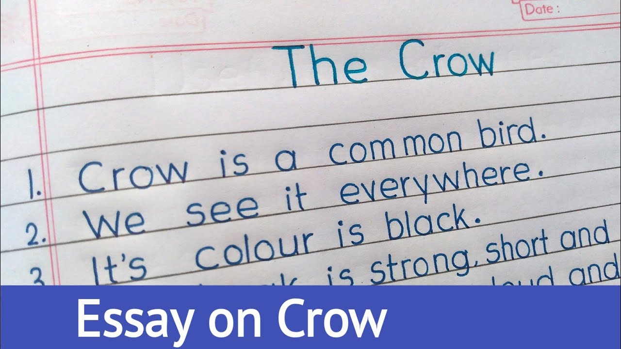 essay on crow in english for class 6