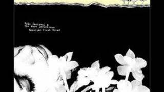 Video thumbnail of "Hope Sandoval - Clear Day"