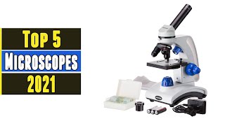 Top 5 Best Microscopes 2021