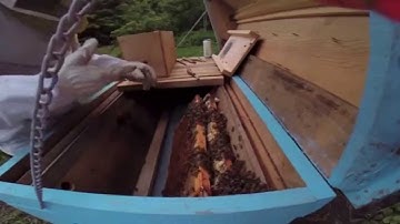Installing A Bee Package into A Top Bar Hive