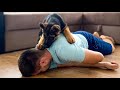 Faking My Death in Front of My German Shepherd Puppy [BEST REACTIONS EVER]