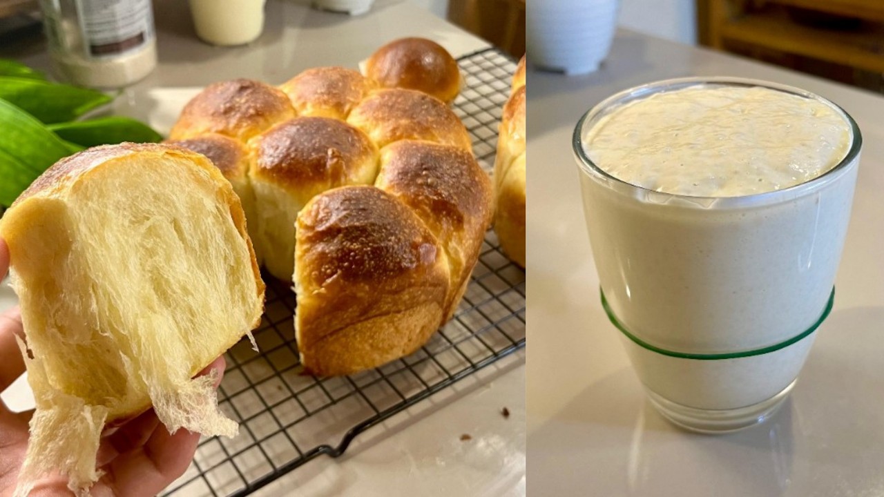 Ternyata Bisa Lembut Kayak Gini Bikin Roti Brioche Pakai Starter ...