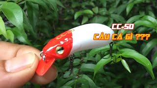 Mồi Cc50 Dùng Câu Cá Gì?