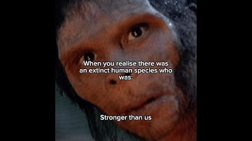 The extinct species of human that was (almost) better than us #earlyhumans #neanderthal