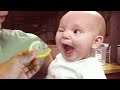 Try Not To Laugh : 1001 Funny Reaction Babies when Eatting Lemon The Fisrt Time | Funny Videos