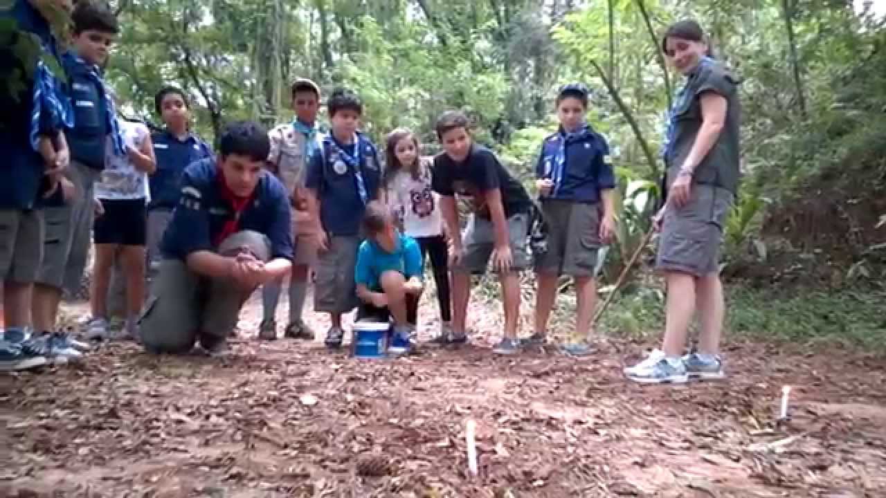 GETS - O grande jogo - Atividades da Base 1 - chefe Paula