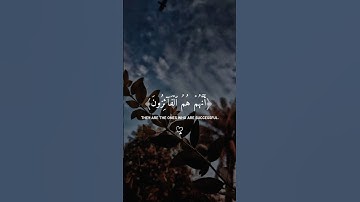 أكتب شيء تؤجر عليه ❤😴//القارئ إسلام صبحي