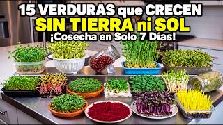 15 VEGETABLES That GROW WITHOUT SOIL or SUN — Harvest in Just 7 Days!