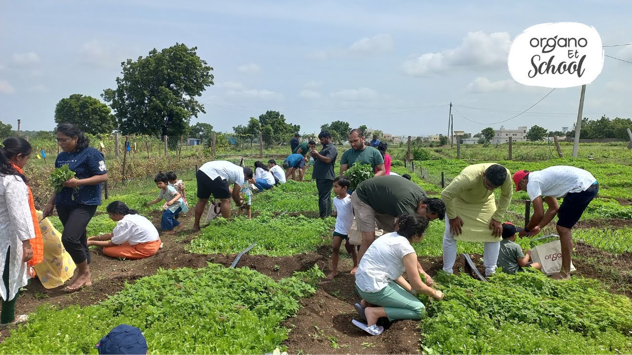 Kinder gardeners began their farming journey - YouTube