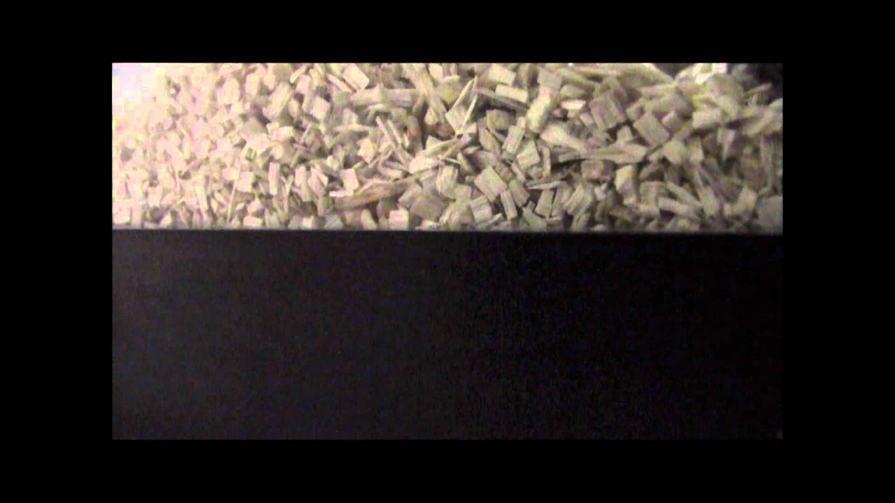 handling yourself in success and failure How To Handle Your Pet Snake