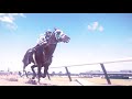 Колыбельная「 Equestrian sport MV 」HD