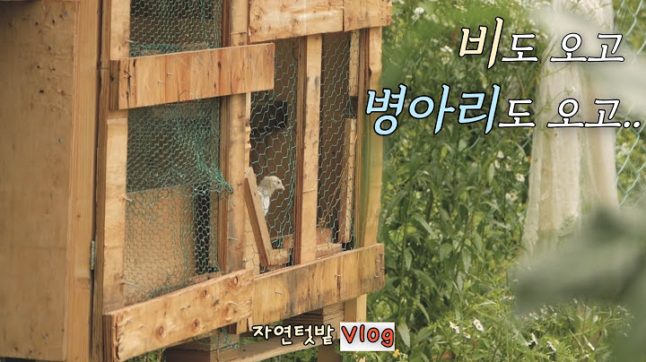 [June-3] Why We're No Longer Raising Native Chickens / How to Protect Our Crops from High Humidity