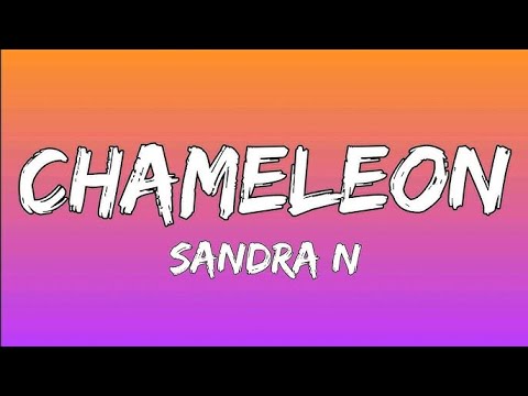 SANDRA N -