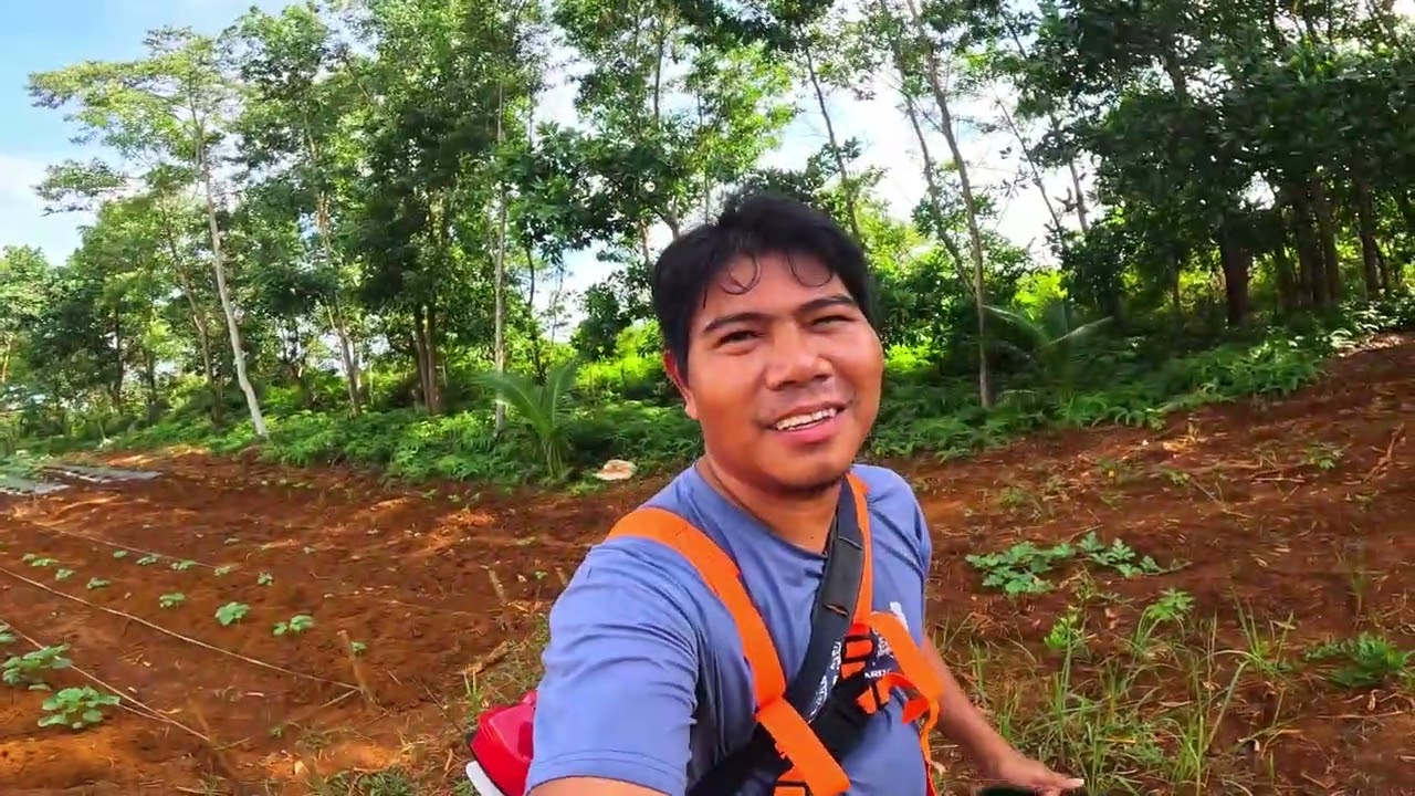 NAGAMIT NA ANG GRASS CUTTER SA ATING FARM