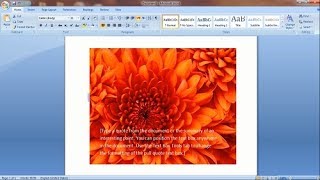 How to write on picture in word 2007 screenshot 2