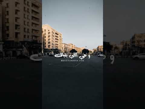 شجرة عشم فارس قطرية